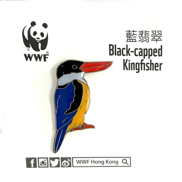 Mai Po Bird Pin - Black-capped Kingfisher | 米埔雀鳥 - 藍翡翠