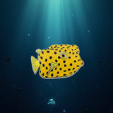 Yellow Boxfish Magnet | 粒突箱魨/木盒魚磁貼