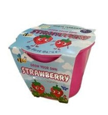 My First Garden Kids - Strawberry | 小盆栽 - 草莓