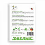 Organic Seeds Packet - Leek | 有機袋裝種子 - 韭蔥