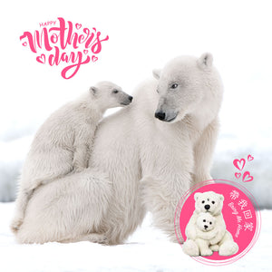 Bring Me Home -  Polar Bear Parent & kid |  帶我回家 - 親子北極熊