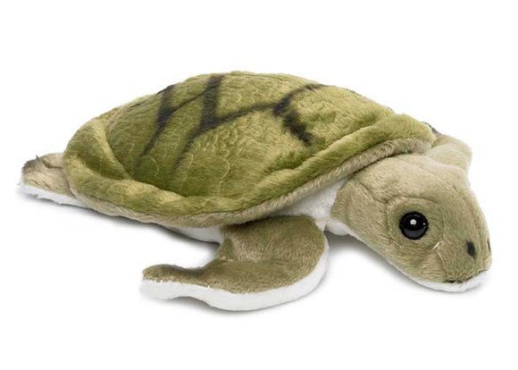 Bring Me Home Sea Turtle |  帶我回家 - 海龜